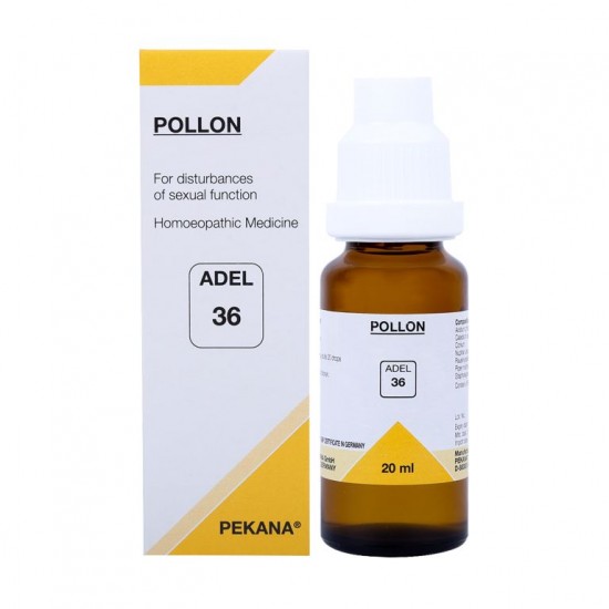 Adel 36 (Pollon)