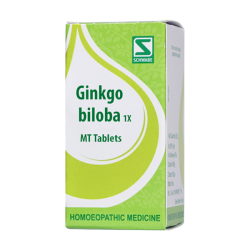 Willmar Schwabe India Ginkgo Biloba 1X MT Tablets